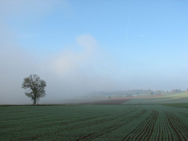 Plateau de Pleigne