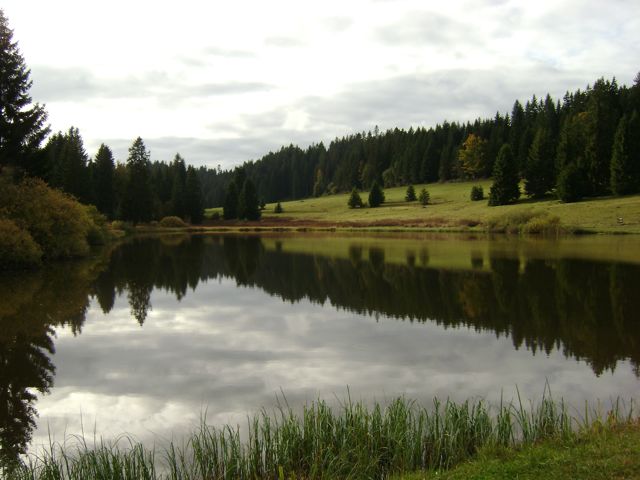 Plain de Saigne, l'étang Plain de Saigne, l'étang